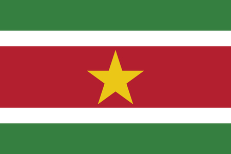vector illustration of Suriname flagのイラスト素材