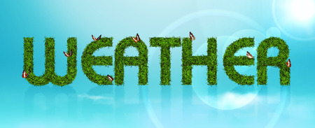 green grass with butterflies. Inscription in large letters weather