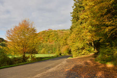 Road in autumn landscapeの写真素材