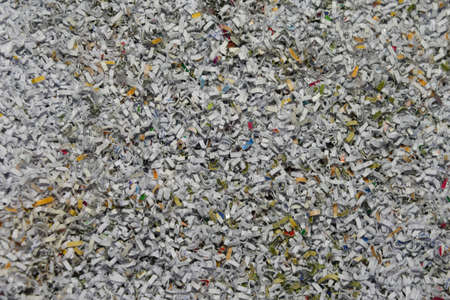 Chadsの写真素材