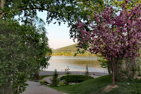 Exit to the embankment of the Yenisei River in the city of Krasnoyarskの写真素材