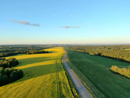 sunset in the fieldの写真素材