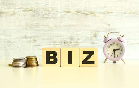 There are three wooden cubes with letters on the table next to the coins. The word BIZ. On a gray background. Front View Conceptsの写真素材