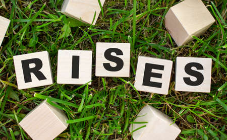The word RISES is written on wooden cubes. The blocks are located on green grass with sunlight. Selective focus.の写真素材