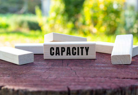 The text CAPACITY is written on a wooden cube lying on an old tree stump against a blurred garden background.の写真素材