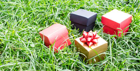 Gift boxes are scattered on the green grass in the park. Holiday concept, sale.の写真素材