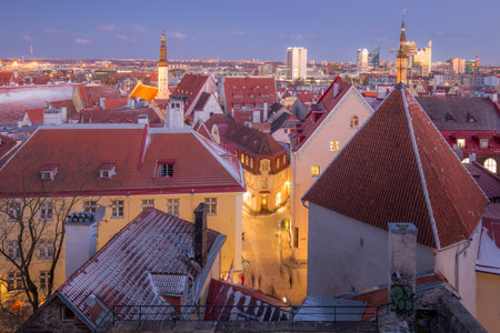 Old town winter rooftop cityscape with tiled roofs and illuminated streets, Tallinn, Estoniaの写真素材