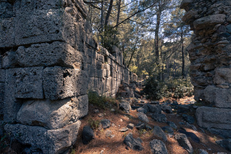 Antique ruins with remains of buildings surrounded by forest in ancient city of Phaselis, Turkiyeの写真素材