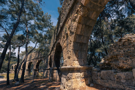 Antique ruins with remains of buildings surrounded by forest in ancient city of Phaselis, Turkiyeの写真素材