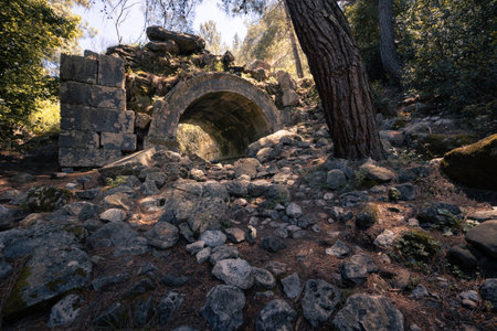 Antique ruins with remains of buildings surrounded by forest in ancient city of Olympos, Turkiyeの写真素材
