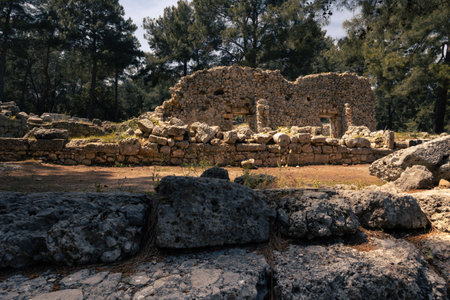 Antique ruins with remains of buildings surrounded by forest in ancient city of Phaselis, Turkiyeの写真素材