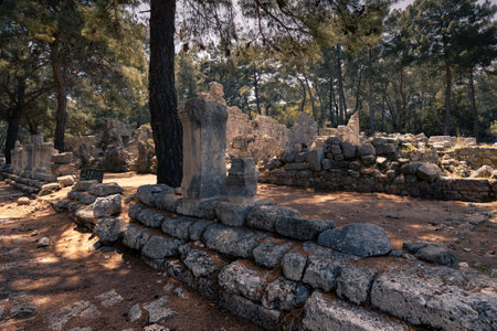Antique ruins with remains of buildings surrounded by forest in ancient city of Phaselis, Turkiyeの写真素材
