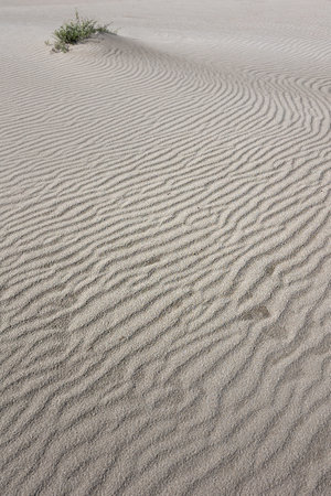 Abstract textured surface of a sand duneの写真素材