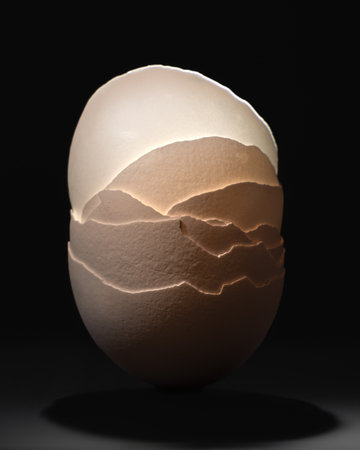 Abstract artistic dark still life image of backlit stack of eggshell with contrasting shadowsの写真素材
