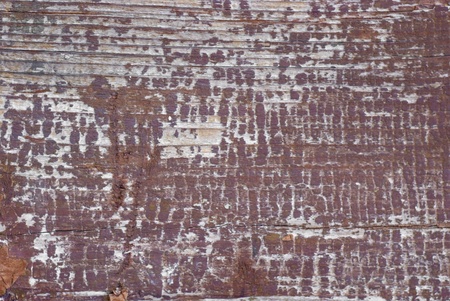 the old peeled paint on wooden boardsの写真素材