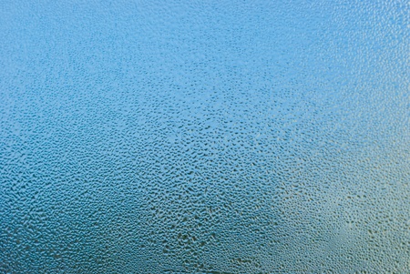 water drops on the grassの写真素材