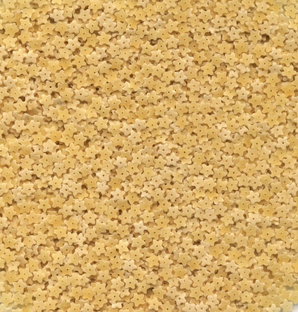 Dry Fusili Pastaの写真素材