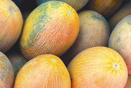 Fresh cantaloupeの写真素材