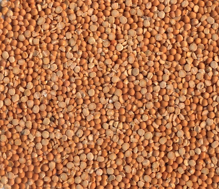 Dried yellow pea as backgroundの写真素材