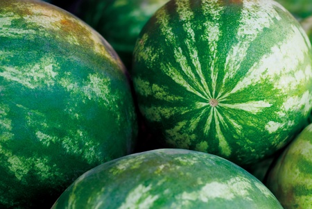 watermelonの写真素材