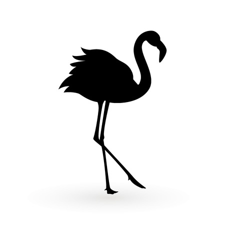 Pink flamingo . Vector illustration .Isolated on white background. Bird illustration design on backgroundのイラスト素材