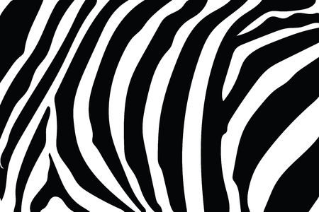 Zebra Stripes Pattern. Zebra print, animal skin, tiger stripes, abstract pattern, line background, fabric. Amazing hand drawn vector illustration. Poster, banner. Black and white artwork monochromeの写真素材