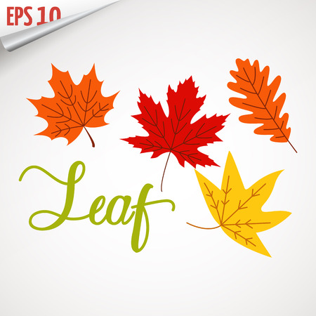 Colorful leaf logo icon vector design. Autumn leaf. Landscape design, garden, Plant, nature and ecology vector logo. Ecology Happy life Logotype concept icon. Vector illustration, Graphicのイラスト素材