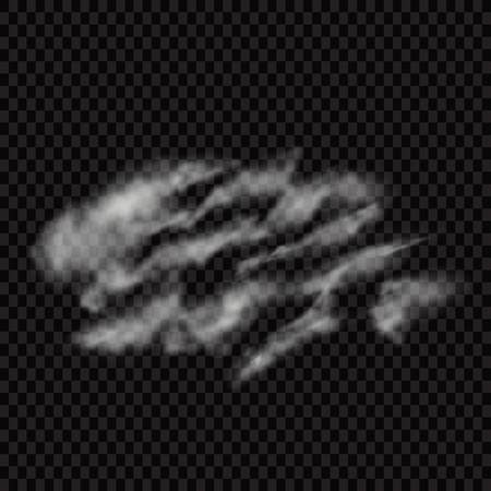 Fog or smoke isolated transparent special effect. White vector cloudiness, mist or smog background. Vector illustration - Vector illustrationのイラスト素材