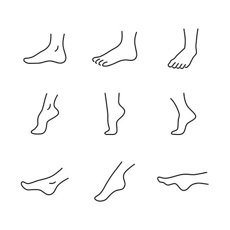 Ankle Human body part icon set. Foot care, feet, spa treatment beauty salon massage pedicure, moisturizing peeling socks leg line icons set, editable stroke isolated on white, linear vector outlineのイラスト素材