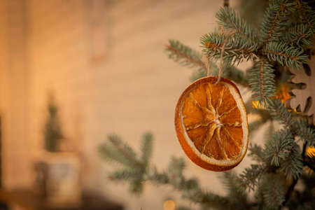 Dried orange slice hanging as decoration on a spruce branchの写真素材