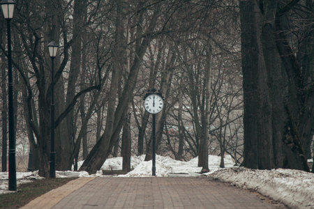 The clock on the pole at the end of the alley in the parkの写真素材