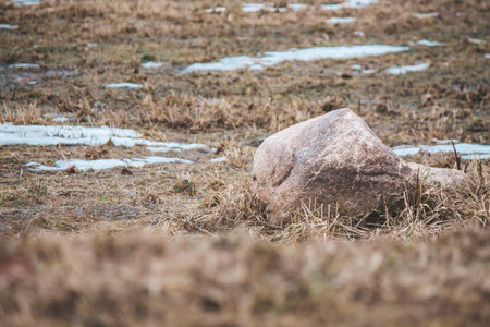 A large stone lies on muddy ground between patches of snowの写真素材