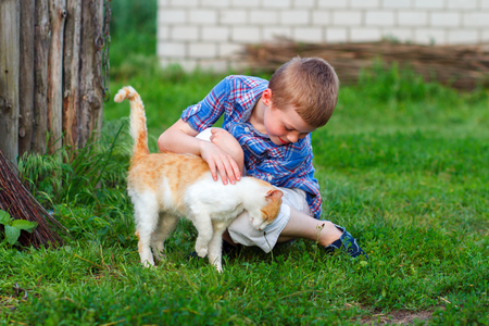Ginger cat tenderly rubs against the foot of a little boyの写真素材