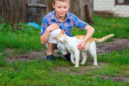 Ginger cat tenderly rubs against the foot of a little boyの写真素材