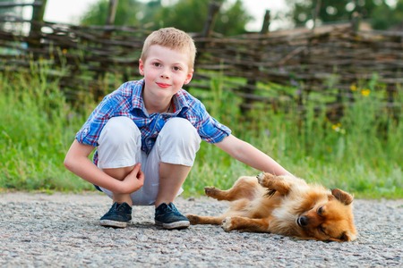 Portrait of happy boy with dog, dog lying on asphalt roadの写真素材