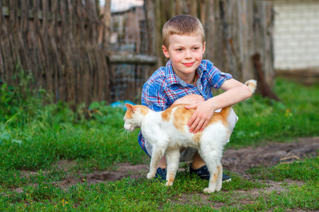 Ginger cat tenderly rubs against the foot of a little boyの写真素材