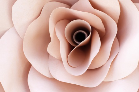 Paper flowers, handmade rose, pastel backgroundの写真素材