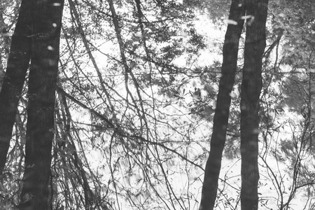 reflection of trees in water, the background with a mirror image of autumn tree with  falling leaves, abstract autumn backgroundの写真素材
