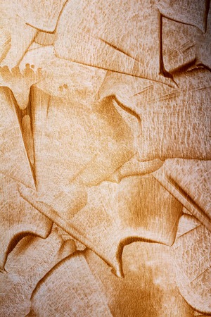 Abstract golden texture units on a white backgroundの写真素材