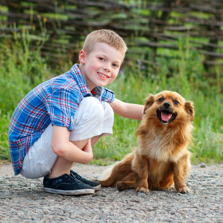  boy in a plaid shirt hugging a red fluffy dog. Best friends. Outdoorの写真素材