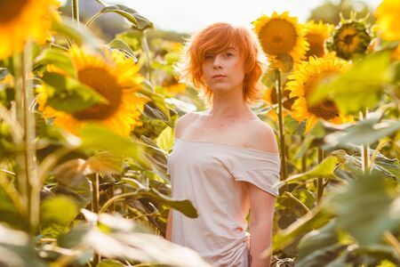 young girl enjoying nature on the field of sunflowers at sunset, portrait of the beautiful redheaded woman girl with a sunflowers in a sunny summer eveningの写真素材