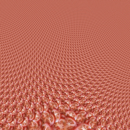 Ornamental backround from slices of tomatoの写真素材