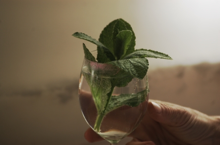 hand holding glass with lipstick imprint and water with mintの写真素材