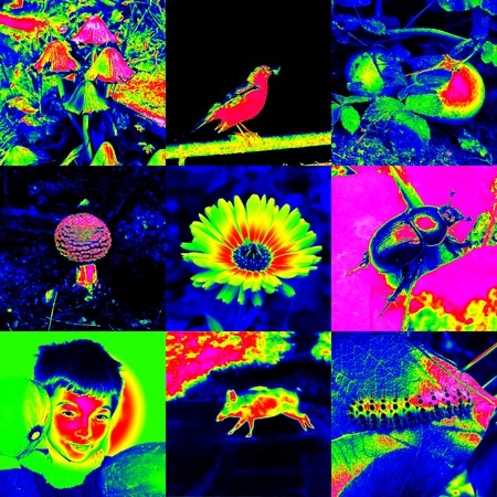 Infra color images set backgroundの写真素材