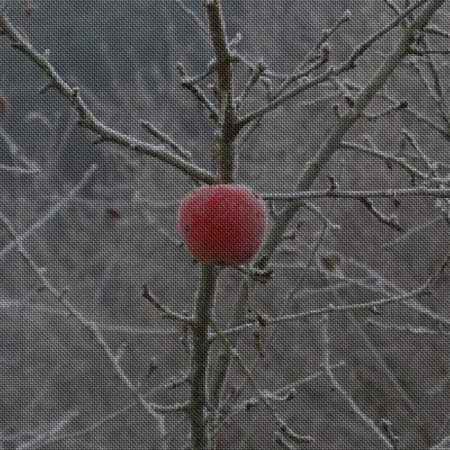 Frozen red apple fruit on branch applied on generated fabric textureの写真素材