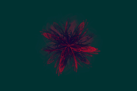 Red flower on dark green rectangular card - digitally rendered fractal designの写真素材