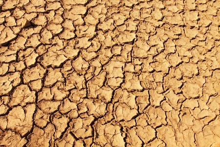 Background of cracked soil on desertの写真素材