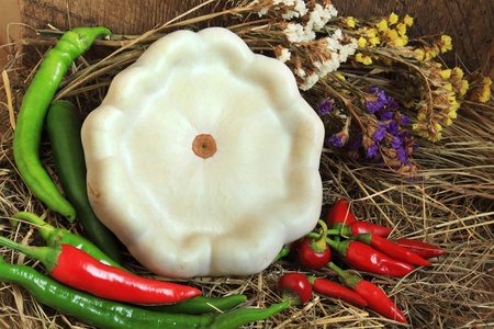 Still life with vegetables - pattypan squash and chili peppersの写真素材