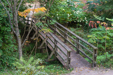 Old wooden bridge in the autumn forestの写真素材