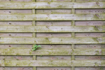 View of a wooden wall, wooden background
